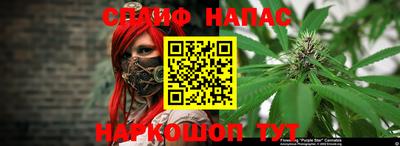 мдпв Кудымкар