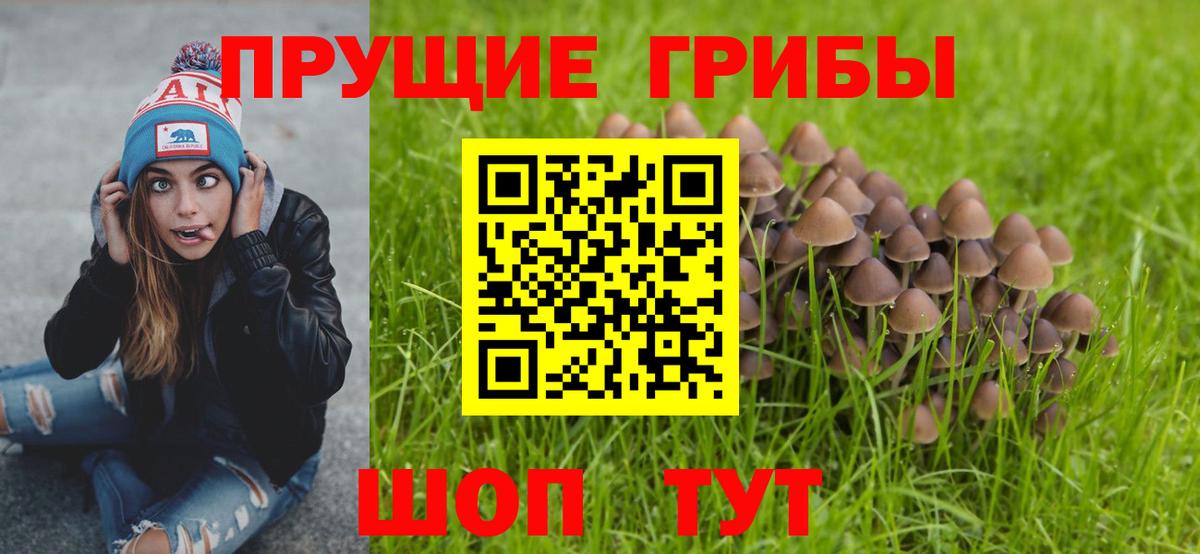 Галлюциногенные грибы MAGIC MUSHROOMS  Галлюциногенные грибы MAGIC MUSHROOMS  Серпухов  Вход с VPN 